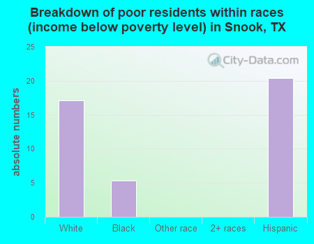 Breakdown of poor residents within races (income below poverty level) in Snook, TX