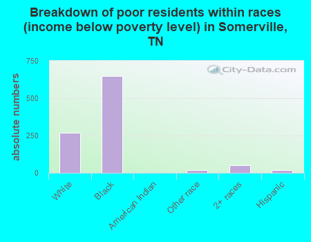 Breakdown of poor residents within races (income below poverty level) in Somerville, TN