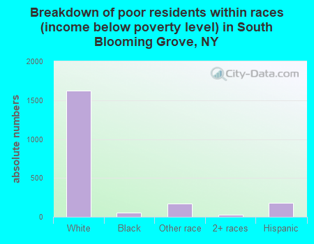 Breakdown of poor residents within races (income below poverty level) in South Blooming Grove, NY