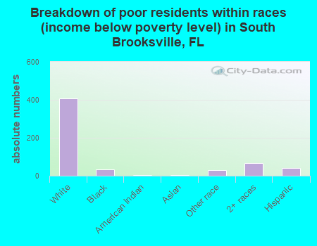 Breakdown of poor residents within races (income below poverty level) in South Brooksville, FL