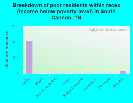Breakdown of poor residents within races (income below poverty level) in South Cannon, TN
