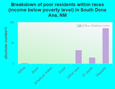 Breakdown of poor residents within races (income below poverty level) in South Dona Ana, NM