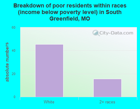 Breakdown of poor residents within races (income below poverty level) in South Greenfield, MO
