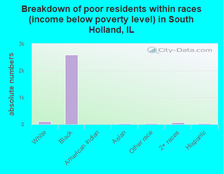 Breakdown of poor residents within races (income below poverty level) in South Holland, IL