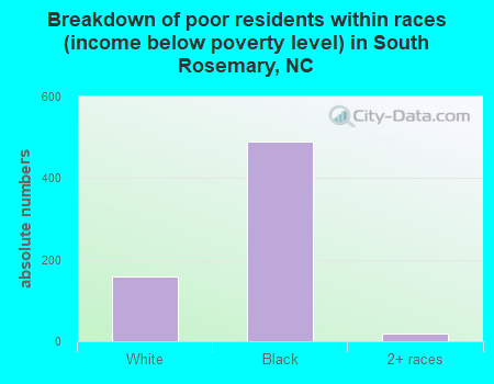 Breakdown of poor residents within races (income below poverty level) in South Rosemary, NC