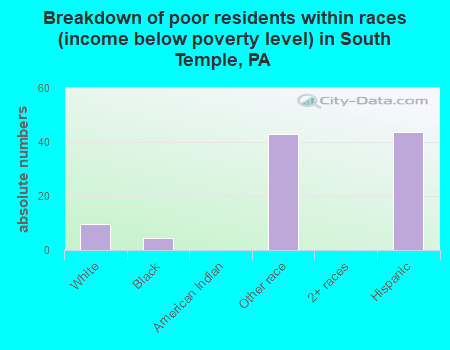Breakdown of poor residents within races (income below poverty level) in South Temple, PA