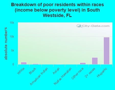 Breakdown of poor residents within races (income below poverty level) in South Westside, FL