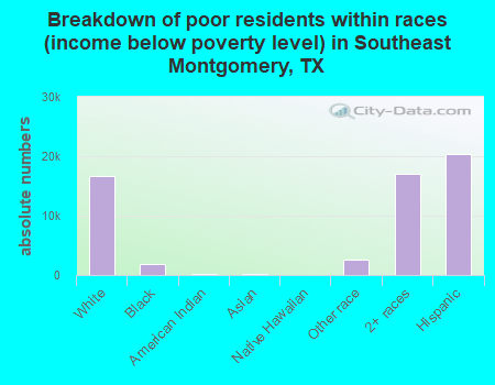 Breakdown of poor residents within races (income below poverty level) in Southeast Montgomery, TX