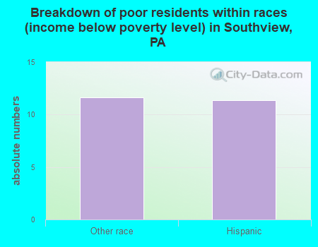 Breakdown of poor residents within races (income below poverty level) in Southview, PA