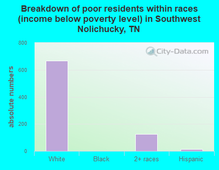 Breakdown of poor residents within races (income below poverty level) in Southwest Nolichucky, TN