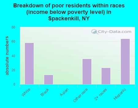 Breakdown of poor residents within races (income below poverty level) in Spackenkill, NY