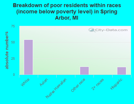Breakdown of poor residents within races (income below poverty level) in Spring Arbor, MI