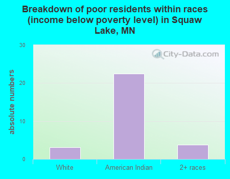 Breakdown of poor residents within races (income below poverty level) in Squaw Lake, MN