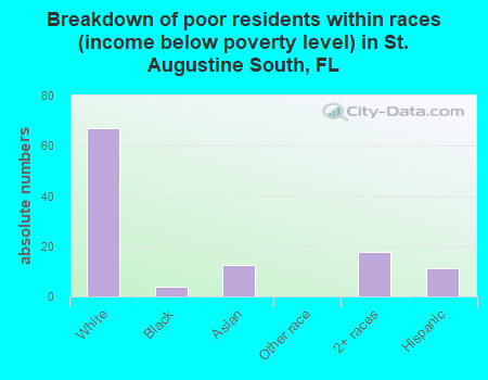 Breakdown of poor residents within races (income below poverty level) in St. Augustine South, FL