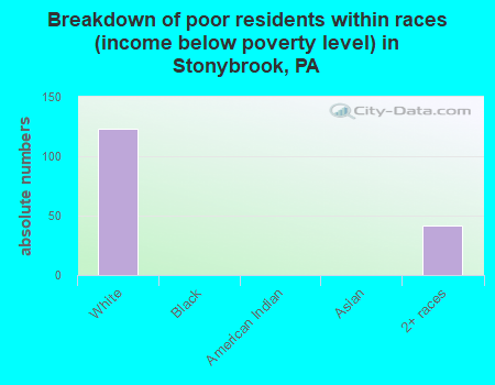 Breakdown of poor residents within races (income below poverty level) in Stonybrook, PA