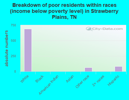 Breakdown of poor residents within races (income below poverty level) in Strawberry Plains, TN