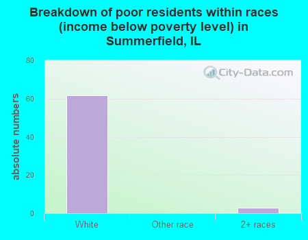 Breakdown of poor residents within races (income below poverty level) in Summerfield, IL
