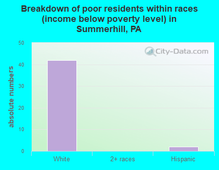 Breakdown of poor residents within races (income below poverty level) in Summerhill, PA
