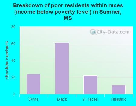 Breakdown of poor residents within races (income below poverty level) in Sumner, MS