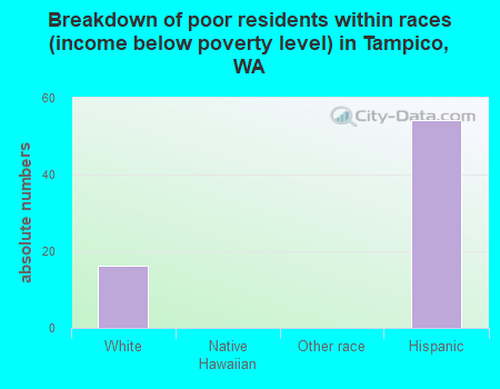 Breakdown of poor residents within races (income below poverty level) in Tampico, WA