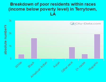 Breakdown of poor residents within races (income below poverty level) in Terrytown, LA