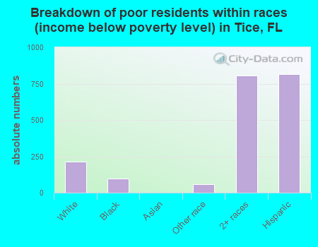 Breakdown of poor residents within races (income below poverty level) in Tice, FL