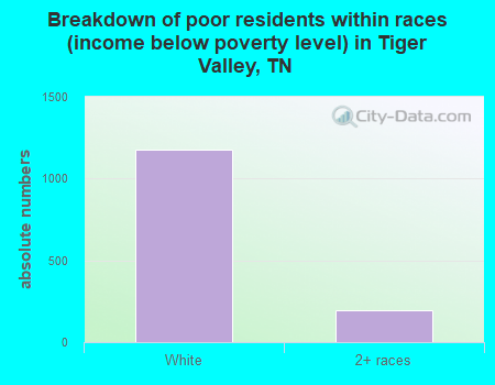 Breakdown of poor residents within races (income below poverty level) in Tiger Valley, TN