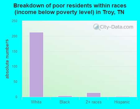 Breakdown of poor residents within races (income below poverty level) in Troy, TN