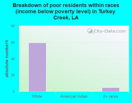 Breakdown of poor residents within races (income below poverty level) in Turkey Creek, LA