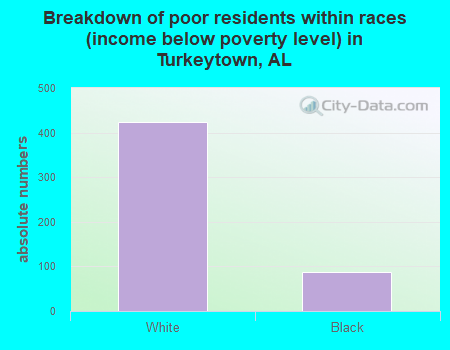 Breakdown of poor residents within races (income below poverty level) in Turkeytown, AL