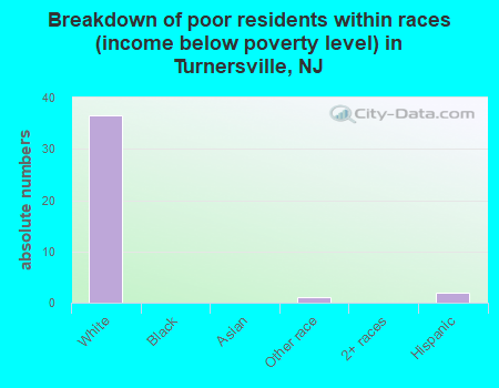 Breakdown of poor residents within races (income below poverty level) in Turnersville, NJ