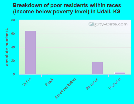 Breakdown of poor residents within races (income below poverty level) in Udall, KS
