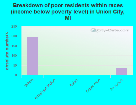 Breakdown of poor residents within races (income below poverty level) in Union City, MI