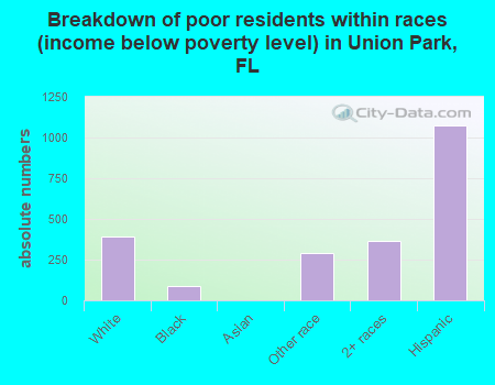 Breakdown of poor residents within races (income below poverty level) in Union Park, FL