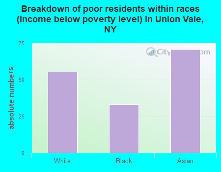 Breakdown of poor residents within races (income below poverty level) in Union Vale, NY