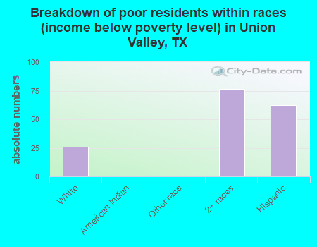Breakdown of poor residents within races (income below poverty level) in Union Valley, TX