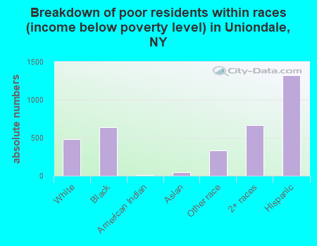 Breakdown of poor residents within races (income below poverty level) in Uniondale, NY