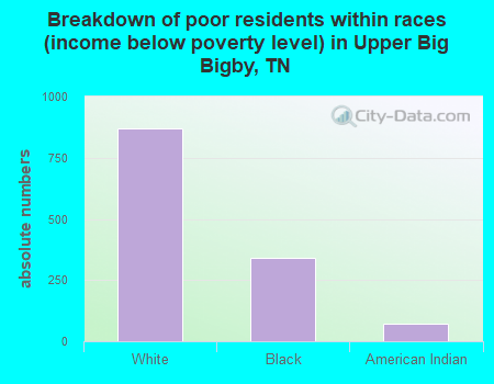 Breakdown of poor residents within races (income below poverty level) in Upper Big Bigby, TN