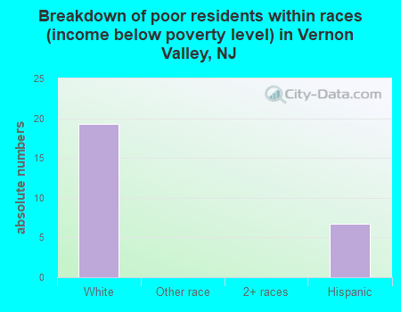Breakdown of poor residents within races (income below poverty level) in Vernon Valley, NJ