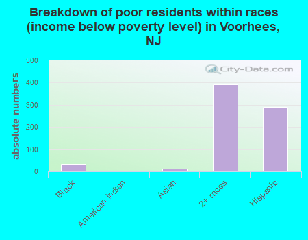 Breakdown of poor residents within races (income below poverty level) in Voorhees, NJ
