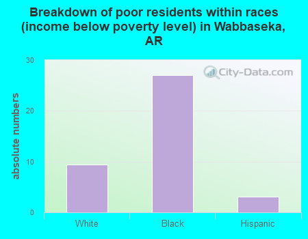 Breakdown of poor residents within races (income below poverty level) in Wabbaseka, AR