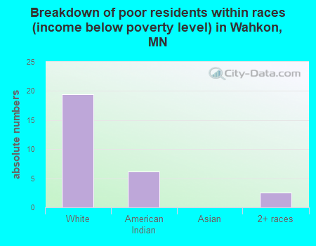 Breakdown of poor residents within races (income below poverty level) in Wahkon, MN