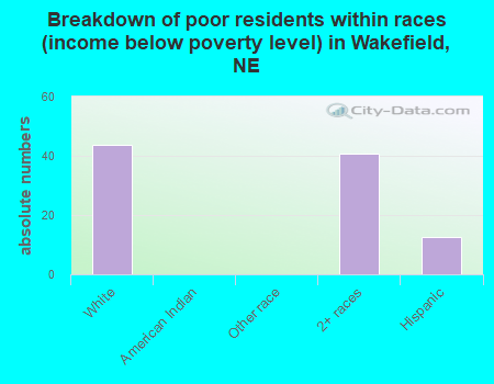 Breakdown of poor residents within races (income below poverty level) in Wakefield, NE
