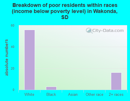 Breakdown of poor residents within races (income below poverty level) in Wakonda, SD