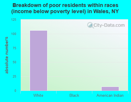 Breakdown of poor residents within races (income below poverty level) in Wales, NY