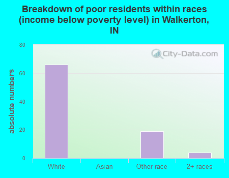 Breakdown of poor residents within races (income below poverty level) in Walkerton, IN