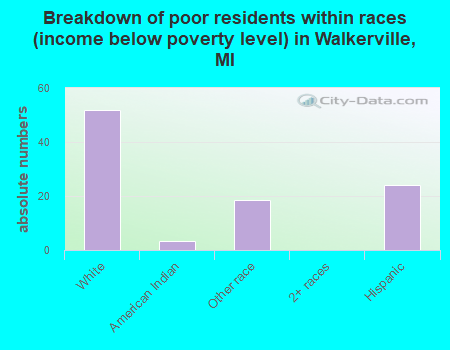 Breakdown of poor residents within races (income below poverty level) in Walkerville, MI