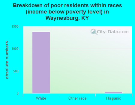 Breakdown of poor residents within races (income below poverty level) in Waynesburg, KY
