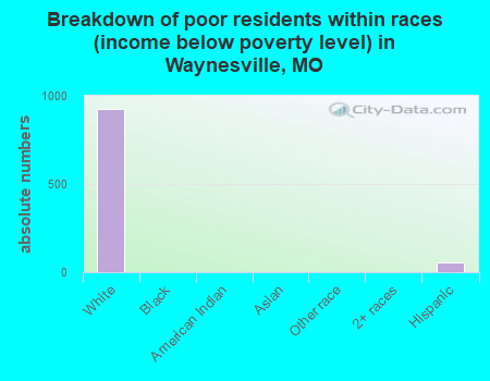 Breakdown of poor residents within races (income below poverty level) in Waynesville, MO