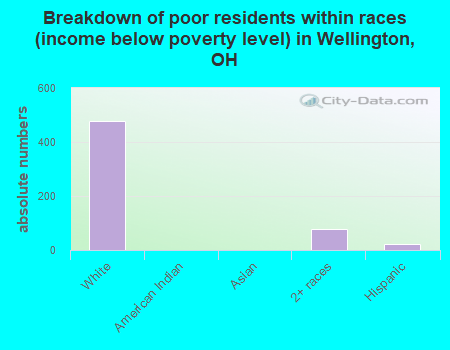 Breakdown of poor residents within races (income below poverty level) in Wellington, OH